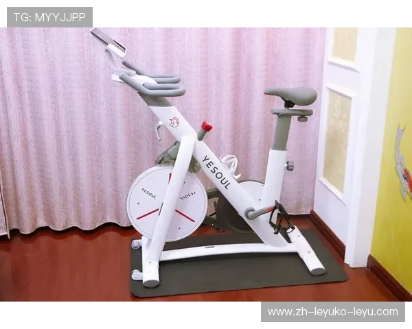 静音型家用训练器械推荐实现零打扰居家锻炼